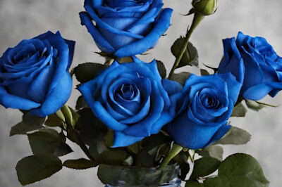 A Mega Guide to Blue Roses |2024