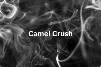 How Did Camel Crush Transform Smoking? | An Ultimate Guide